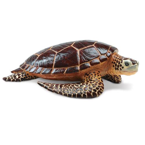 260429-safari-incredible-creatures-sea-turtle-1