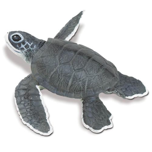268129-incredible-creatures-sea-turtle-baby-1