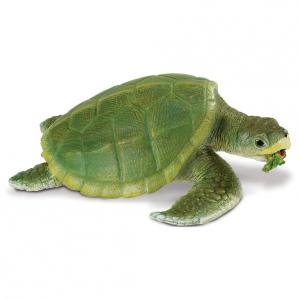 262429-safari-incredible-creatures-kemps-ridley-sea-turtle-1