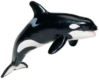 Monterey Bay Collection Orca